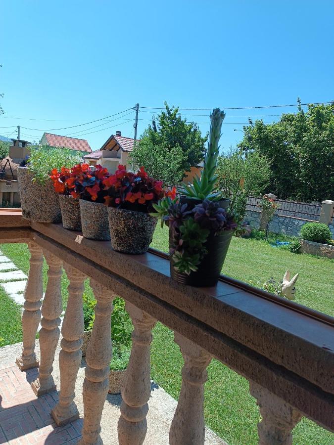 Appartement Calm Nest à Nikšić Extérieur photo