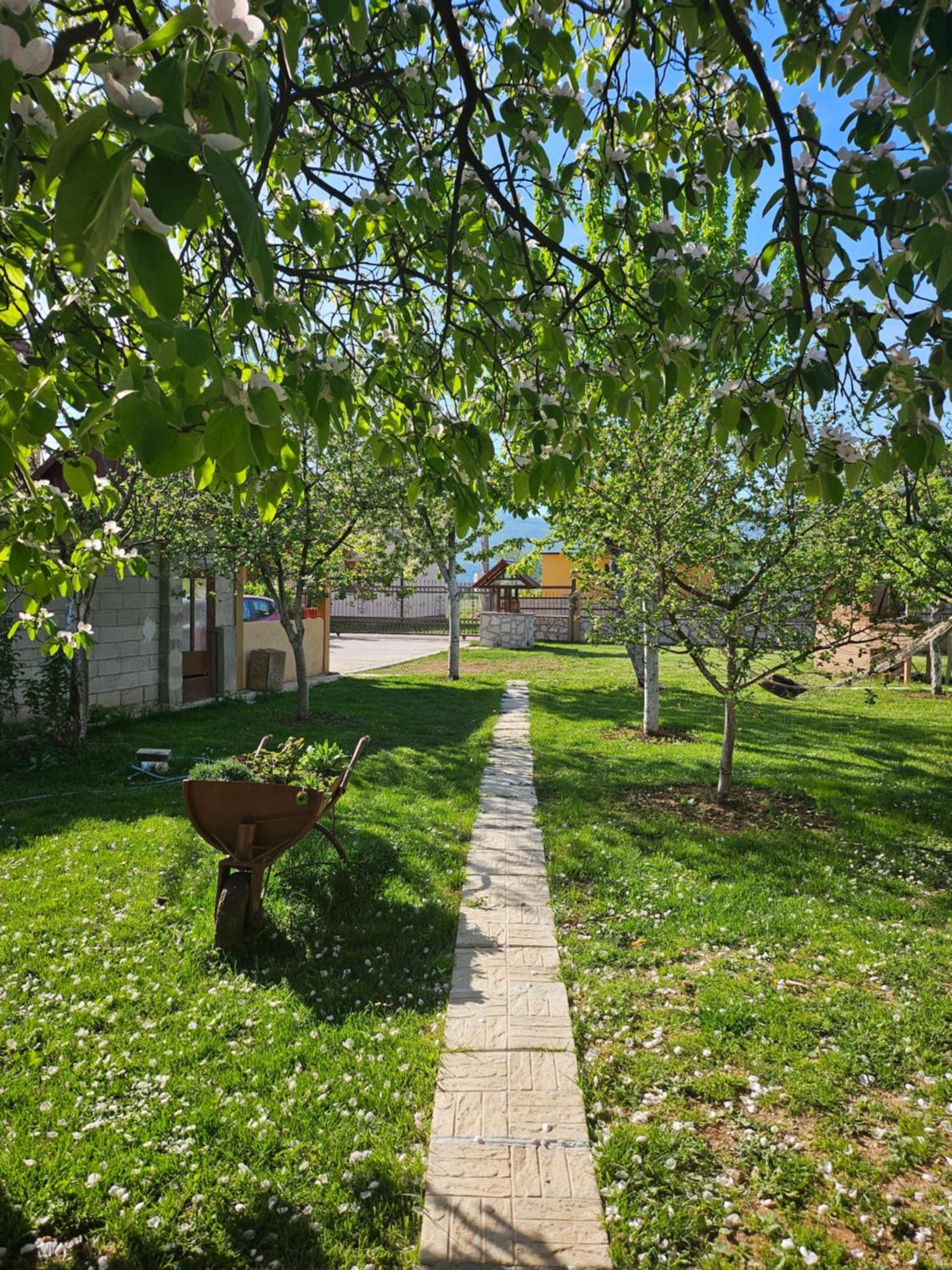 Appartement Calm Nest à Nikšić Extérieur photo
