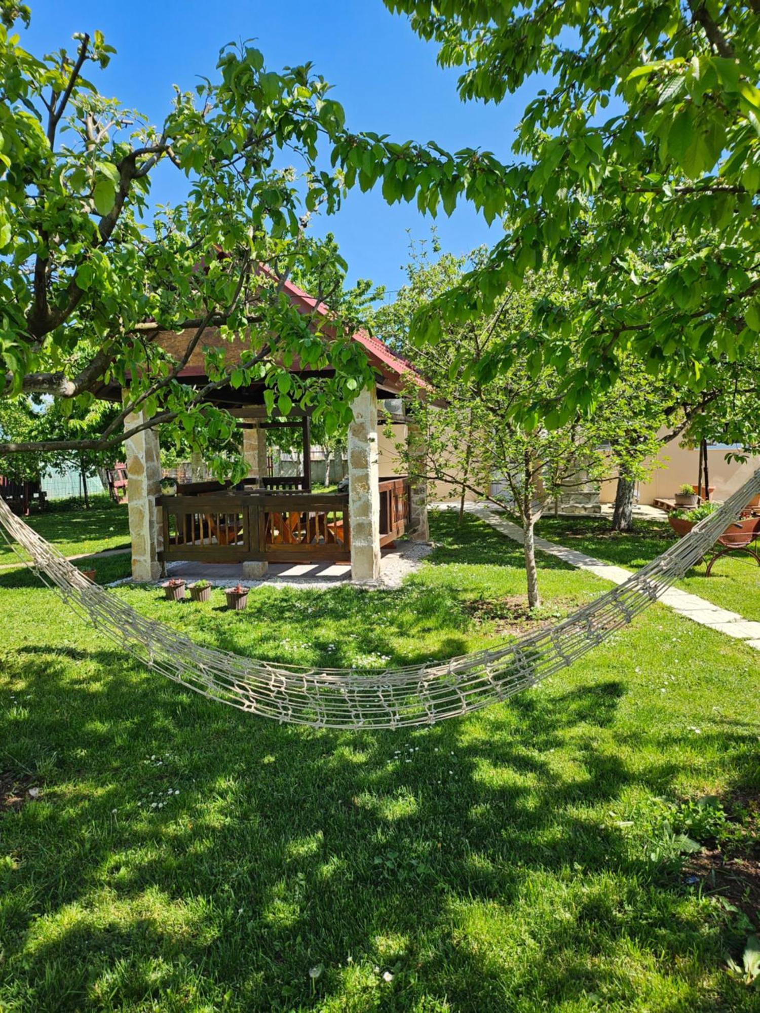 Appartement Calm Nest à Nikšić Extérieur photo