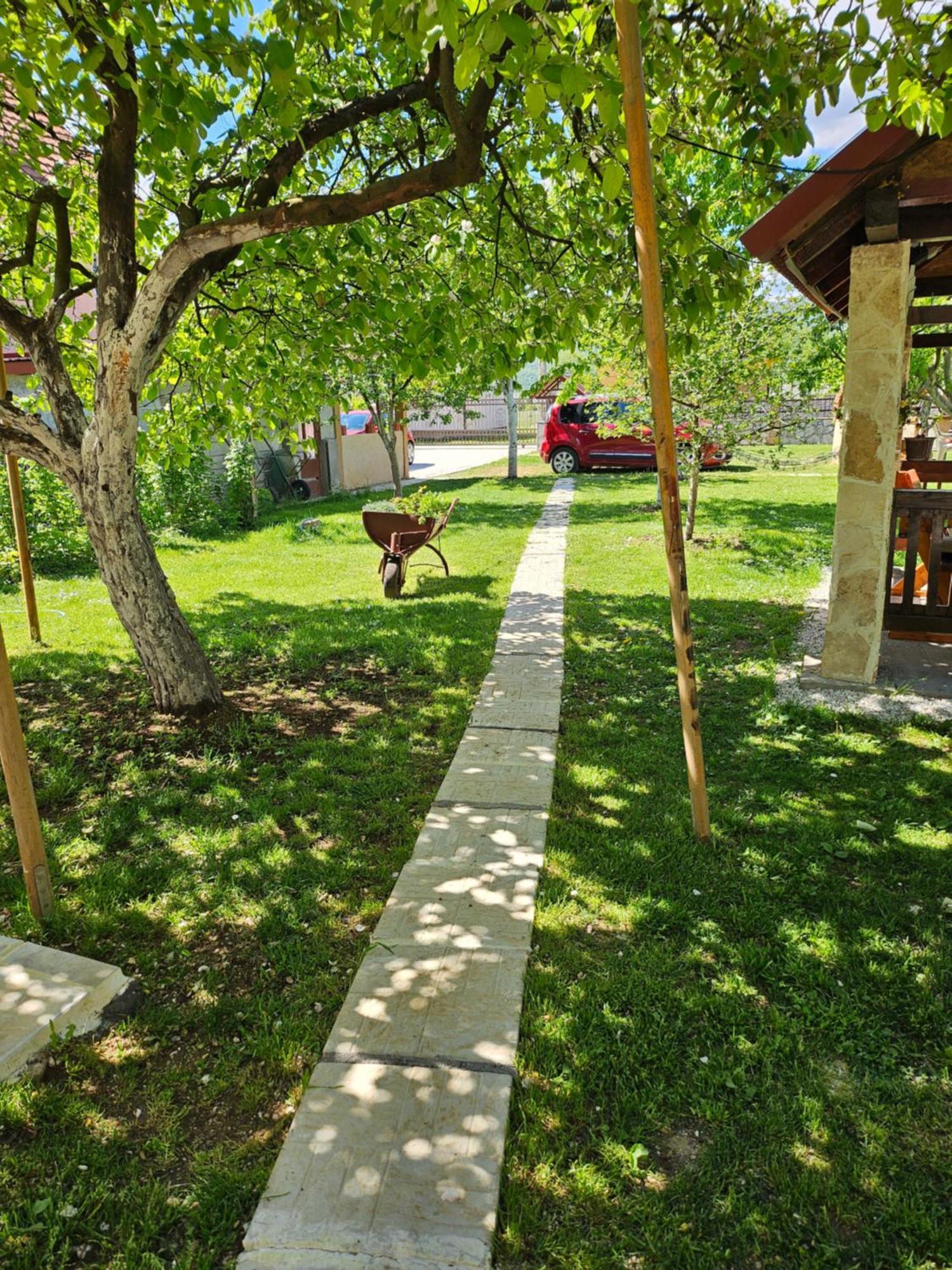 Appartement Calm Nest à Nikšić Extérieur photo